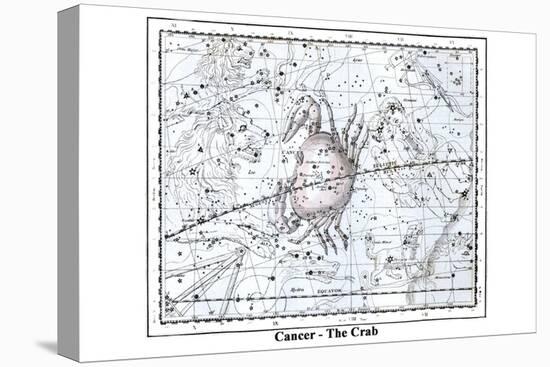 Cancer - the Crab-Alexander Jamieson-Stretched Canvas