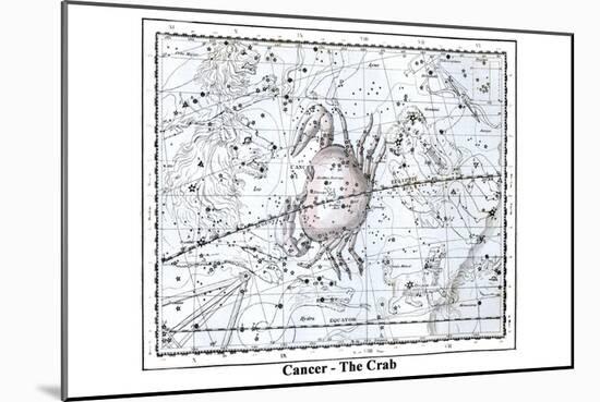 Cancer - the Crab-Alexander Jamieson-Mounted Art Print