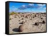 Cancha de bochas (Bowls Pitch) Formation, Ischigualasto Provincial Park, UNESCO World Heritage Site-Karol Kozlowski-Framed Stretched Canvas