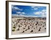 Cancha de bochas (Bowls Pitch) Formation, Ischigualasto Provincial Park, UNESCO World Heritage Site-Karol Kozlowski-Framed Photographic Print