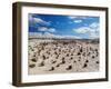 Cancha de bochas (Bowls Pitch) Formation, Ischigualasto Provincial Park, UNESCO World Heritage Site-Karol Kozlowski-Framed Photographic Print