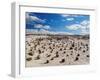 Cancha de bochas (Bowls Pitch) Formation, Ischigualasto Provincial Park, UNESCO World Heritage Site-Karol Kozlowski-Framed Photographic Print