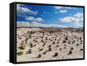 Cancha de bochas (Bowls Pitch) Formation, Ischigualasto Provincial Park, UNESCO World Heritage Site-Karol Kozlowski-Framed Stretched Canvas