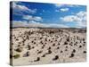 Cancha de bochas (Bowls Pitch) Formation, Ischigualasto Provincial Park, UNESCO World Heritage Site-Karol Kozlowski-Stretched Canvas