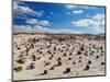 Cancha de bochas (Bowls Pitch) Formation, Ischigualasto Provincial Park, UNESCO World Heritage Site-Karol Kozlowski-Mounted Photographic Print