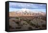 Candelabra Cactus, Valle Tin Tin, Los Cardones Park, Argentina-Peter Groenendijk-Framed Stretched Canvas