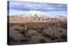 Candelabra Cactus, Valle Tin Tin, Los Cardones Park, Argentina-Peter Groenendijk-Stretched Canvas