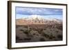 Candelabra Cactus, Valle Tin Tin, Los Cardones Park, Argentina-Peter Groenendijk-Framed Photographic Print