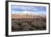 Candelabra Cactus, Valle Tin Tin, Los Cardones Park, Argentina-Peter Groenendijk-Framed Photographic Print