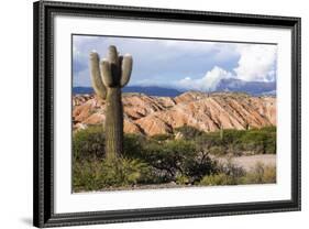 Candelabra Cactus, Valle Tin Tin, Los Cardones Park, Argentina-Peter Groenendijk-Framed Photographic Print