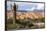 Candelabra Cactus, Valle Tin Tin, Los Cardones Park, Argentina-Peter Groenendijk-Framed Photographic Print