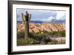 Candelabra Cactus, Valle Tin Tin, Los Cardones Park, Argentina-Peter Groenendijk-Framed Photographic Print