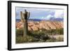 Candelabra Cactus, Valle Tin Tin, Los Cardones Park, Argentina-Peter Groenendijk-Framed Photographic Print