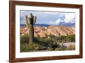 Candelabra Cactus, Valle Tin Tin, Los Cardones Park, Argentina-Peter Groenendijk-Framed Photographic Print