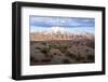 Candelabra Cactus, Valle Tin Tin, Los Cardones Park, Argentina-Peter Groenendijk-Framed Photographic Print