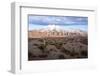 Candelabra Cactus, Valle Tin Tin, Los Cardones Park, Argentina-Peter Groenendijk-Framed Photographic Print