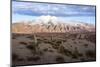 Candelabra Cactus, Valle Tin Tin, Los Cardones Park, Argentina-Peter Groenendijk-Mounted Photographic Print