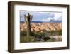 Candelabra Cactus, Valle Tin Tin, Los Cardones Park, Argentina-Peter Groenendijk-Framed Photographic Print