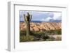 Candelabra Cactus, Valle Tin Tin, Los Cardones Park, Argentina-Peter Groenendijk-Framed Photographic Print