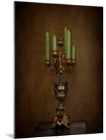 Candelabra Still Life-Jai Johnson-Mounted Giclee Print