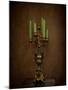 Candelabra Still Life-Jai Johnson-Mounted Giclee Print