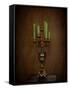 Candelabra Still Life-Jai Johnson-Framed Stretched Canvas