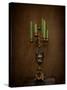 Candelabra Still Life-Jai Johnson-Stretched Canvas