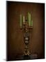 Candelabra Still Life-Jai Johnson-Mounted Premium Giclee Print