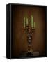 Candelabra Still Life-Jai Johnson-Framed Stretched Canvas