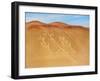 Candelabro de Paracas Geoglyph, Paracas National Reserve, Ica Region, Peru, South America-Karol Kozlowski-Framed Photographic Print