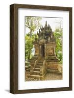 Candi Cangkuang-Rob-Framed Photographic Print