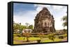 Candi Kalasan Buddhist Temple in Prambanan Valley on Java. Indonesia. Built around 778 A.D. it Supp-Aleksandar Todorovic-Framed Stretched Canvas