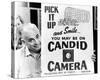 Candid Camera-null-Stretched Canvas