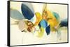 Candid Color-Sarah Stockstill-Framed Stretched Canvas