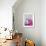 Candies-Oxana Zaika-Framed Giclee Print displayed on a wall