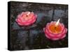 Candle Floating in Dafo Temple, Leshan, Sichuan, China-Porteous Rod-Stretched Canvas