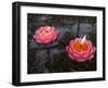 Candle Floating in Dafo Temple, Leshan, Sichuan, China-Porteous Rod-Framed Photographic Print