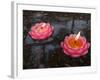Candle Floating in Dafo Temple, Leshan, Sichuan, China-Porteous Rod-Framed Photographic Print