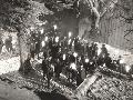 Laminate