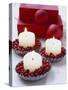 Candles and Cranberries in Tart Tins-null-Stretched Canvas