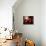 Candles in the Town Church, Marie-Galante Island, Guadaloupe, Caribbean-Walter Bibikow-Photographic Print displayed on a wall