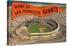 Candlestick Park, Giant's Pennant, San Francisco, California-null-Stretched Canvas