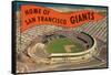 Candlestick Park, Giant's Pennant, San Francisco, California-null-Framed Stretched Canvas