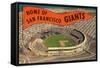 Candlestick Park, Giant's Pennant, San Francisco, California-null-Framed Stretched Canvas