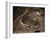 Candlestick Park-Tony Sande-Framed Premium Photographic Print