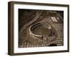 Candlestick Park-Tony Sande-Framed Photographic Print