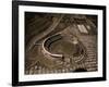 Candlestick Park-Tony Sande-Framed Photographic Print