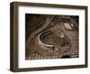 Candlestick Park-Tony Sande-Framed Photographic Print