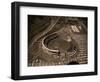 Candlestick Park-Tony Sande-Framed Photographic Print