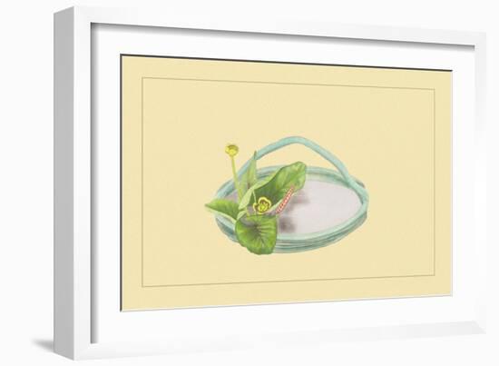 Candock-Sofu Teshigahara-Framed Art Print